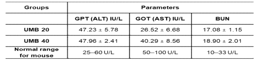 마우스 혈청에서 GPT, GOT, BUN 농도 확인