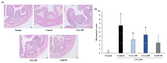 Effects of fermented Artemisia argyi H. on histological analysis for inflammation extent in DSS-induced ulcerative colitis model