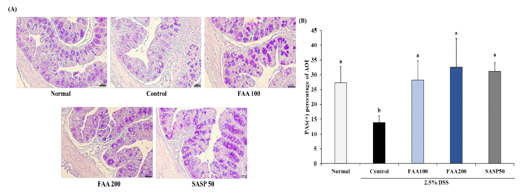 Effects of fermented Artemisia argyi H. on histological analysis for goblet cell in DSS-induced ulcerative colitis model