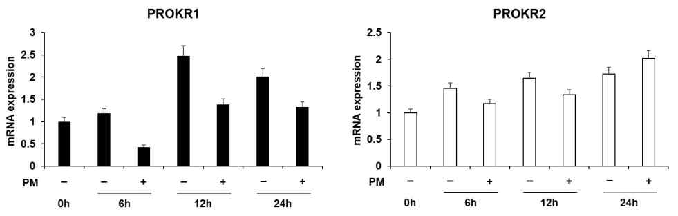 PM2.5에 의한 Trophoblast에서 PROKR1의 발현 감소