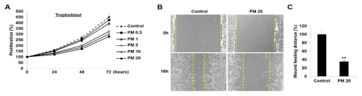 PM2.5농도와 시간에 따른 trophoblast proliferation 의 감소(A), PM2.5 농도에 따른 trophoblast의 woundhealing 감소 (B, C)