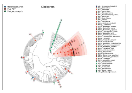 치료 방법에 따른 CDI 환자의 Microbiome의 특성 비교, Cledogram