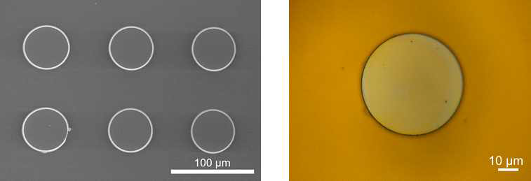 마이크로 패터닝 과정을 통해 제작된 top-DBR 전자현미경 단면 이미지(좌). 전사된 top-DBR의 광학현미경 이미지(우)