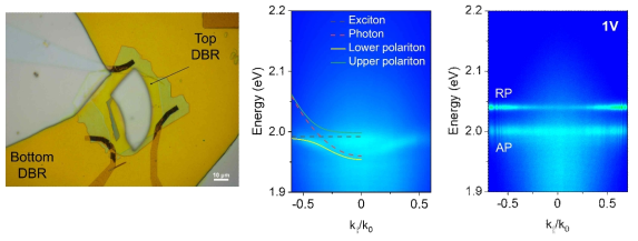 게이트 가변 폴라론 폴라리톤 소자의 광학 이미지(좌). 상온에서 측정된 게이트 인가 전(중간) E-k 분산 곡선 및 저온에서 게이트 인가 하에 측정된 E-K 분산 곡선(우)