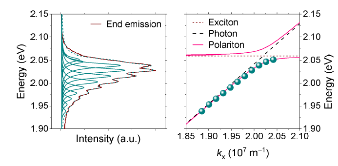 도파관 공지기 끝단 발광 스펙트럼에 대한 spectral fitting 결과 및 엑시톤-폴라리톤 E-k 분산 곡선