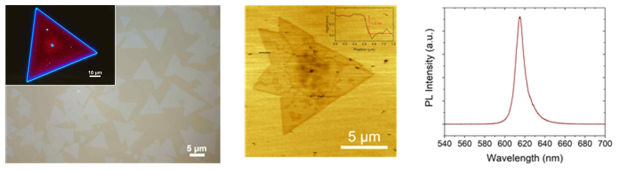 열화학기상증착법을 통해 성장된 단층 WS2 광학 이미지(좌), 단층 WS2 의 AFM 포토그래픽 이미지(중간) 및 PL 스펙트럼(우)