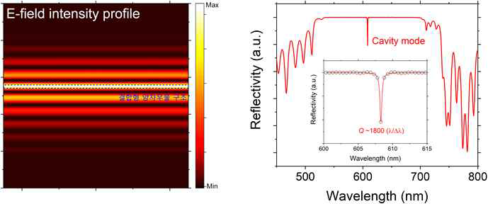 이론적으로 계산된 결합형 양자우물 구조와 결합된 마이크로 공진기에 구속된 광자의 전기장 세기 분포(좌) 및 반사 데이터(우)