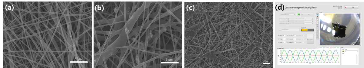 (a) PCL 나노섬유 SEM 이미지, (b, c) PCL@Fe3O4 나노섬유 SEM 이미지, (d) EMF 장비를 이용한 Fe3O4 나노입자의 방향제어 및 진동 효과 확인