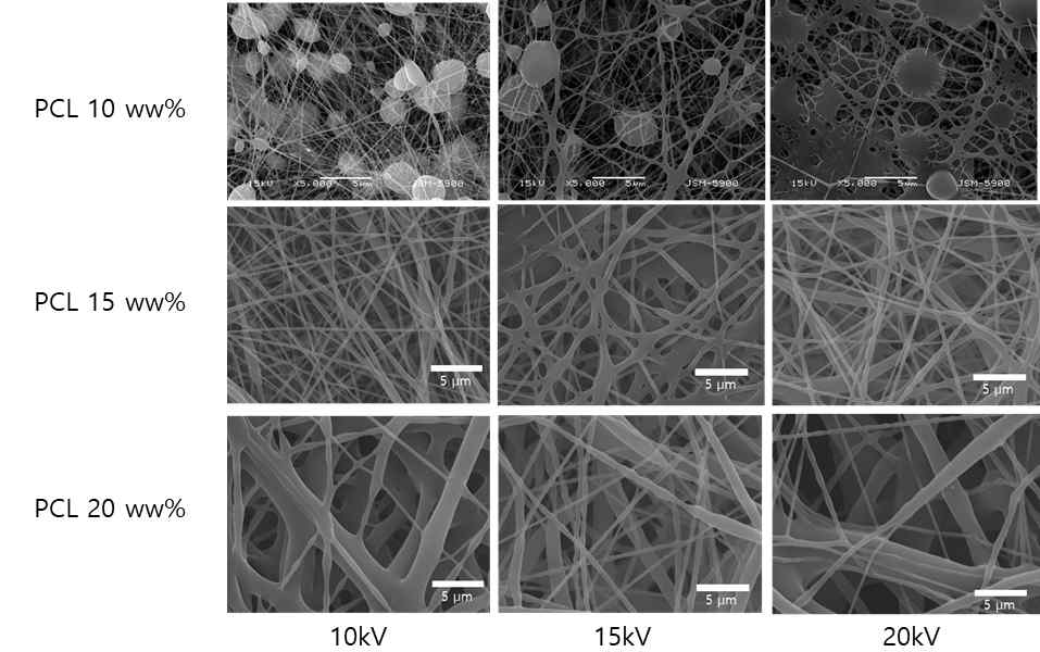 다양한 조건에서 제작된 PCL 나노섬유의 SEM 이미지