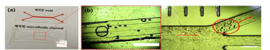 EMF 장비를 이용한 Fe3O4 나노입자 제어연구 이미지(좌), (a) FDM 3D프린팅으로 제작한 microfluidic 장치, (b) 제작된 채널에서의 Fe3O4 나노입자의 이동하는 이미지(우)