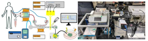 최종개발 된 전이암세포분리장치개념도와 장치세팅