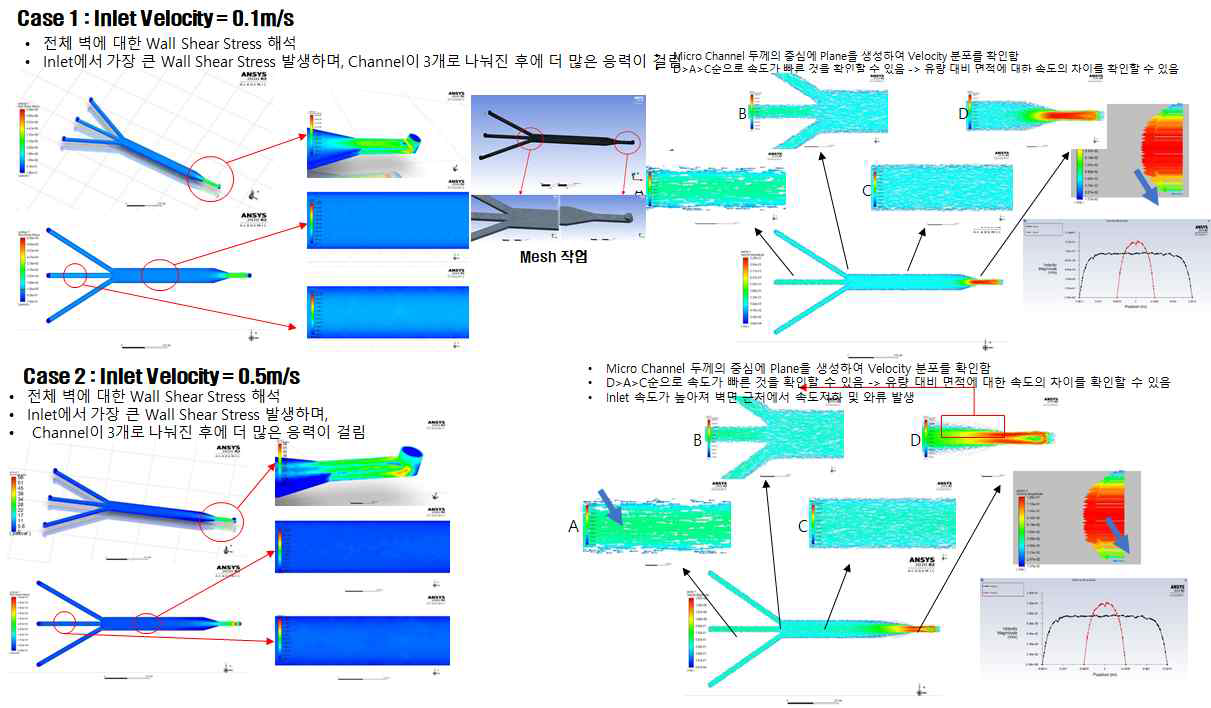 ANSYS 해석을 통한 유동 해석 결과; 전단응력 및 유동이 모두 안정된 상태로 확인됨