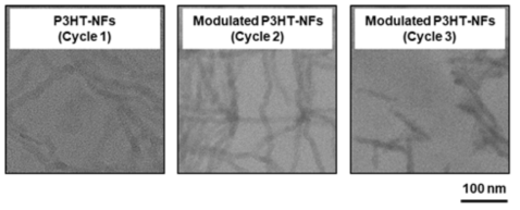 가열-냉각 순환 cycle에 따른 P3HT 나노선의 길이 변화 TEM 이미지