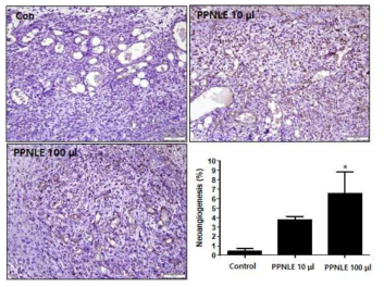 Effect of PPNLE on angiogenesis on the skin wound area. The tissues harvested from the skin wound area of rats (each group, n=5) treated with or without PPNLE (100 mg/ml) were used in immunohistochemistry staining with anti-CD31 to detect neo-vessel. Immunohistochemistry staining of endothelial cells with anti-CD31 represented as brown color. The values are shown as means ± SD. *p<0.05 compared to the control