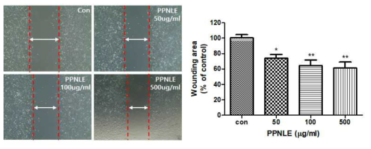 The migration of fibroblast cells induced by PPNLE. The effect of PPNLE on in vitro wound healing was evaluated with closure of wound gap created by scratching with scraper on fully filled cells. After treatment with indicated concentration of PPNLE for 24 h. the wound gap was observed, and photographed with a Nikon light microscope. The quantitative evaluation of wound closure in wound scratch assay was measured by the distance between the two front lines with the majority of migrated fibroblast cells. The experiments were performed three times independently. The values are shown as means ± SD. *p<0.05 **p<0.01 compared to the control