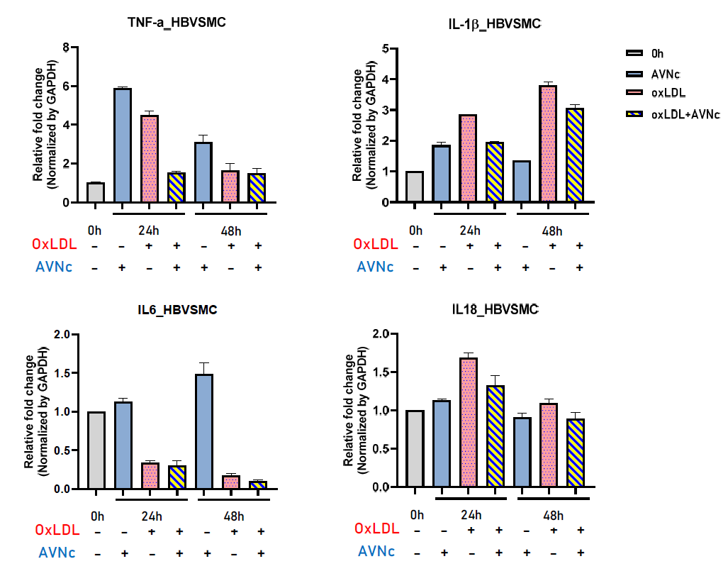 (A). Effectsof Avenanthramide-C on oxLDL-induced inflammatory cytokine levels of TNF-α, IL-1β, IL6, and IL18 in HBVSMC cells