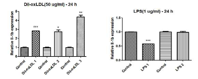 oxLDL 및 LPS의 IL-1β 발현