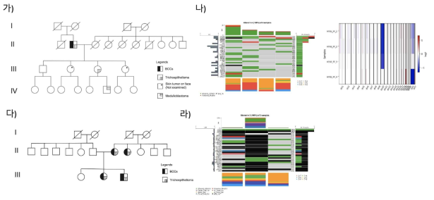 생식세포 돌연변이 이상으로 다발성 모분화 종양이 생기는 환자군에서의 유전체 및 단일세포 분석 가-나) SUFU 유전자 돌연변이로 인하여 기저세포함이 가족성으로 생긴 환자의 가계도 및 종양에서의 전장유전체 분석. 다-라) CYLD 유전자의 돌연변이로 인하여 모분화종양이 발생한 환자의 가계도 및 종양에서의 전장유전체 분석