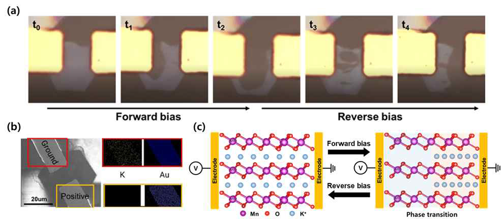 (a) K-MnO2의 인가전압에 따른 이온 움직임의 실시간 광학 이미지 (b) 전압 인가 후 K+ 이온의 분포 (c) 인가전압에 따른 K-MnO2의 K+ 이온 움직임과 가역적 전기화학적 상변화 모식도