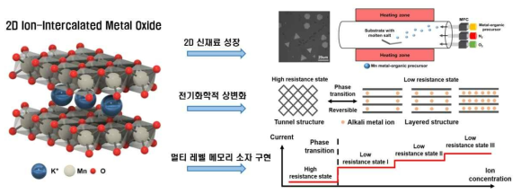 2차원 이온-금속 산화물 신물질을 이용한 전기화학적 상변화 메모리 소자 구현 모식도