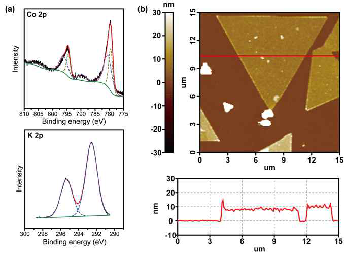 K-CoO2의 (a) X선 광전자 분광법 결과 (b) 원자 힘 현미경 (AFM) 이미지