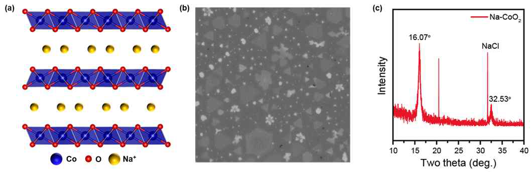 Na+ 이온이 층간 삽입된 CoO2의 (a) 결정구조 (b) 광학 이미지 (c) X선 회절 분석