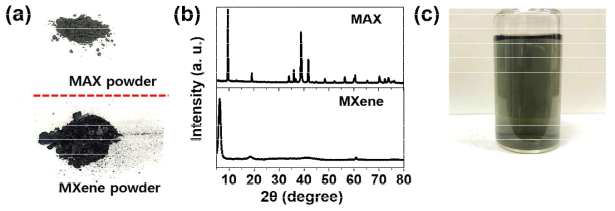 맥스와 맥신 분말의 (a) 사진 이미지 및 (b) XRD 패턴. (c) 물에 분산된 맥신 이미지