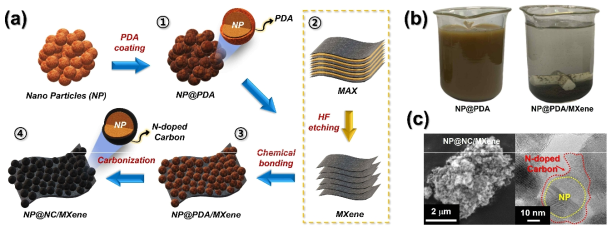 (a) 표면기능기 제어를 통한 맥신복합화 공정모식도, (b) 기능기 제어에 따른 맥신과의 결합성 확인, (c) 확보한 나노입자-탄소-맥신 복합재료의 (좌) 주사전자현미경 및 (우) 투과전자현미경 이미지