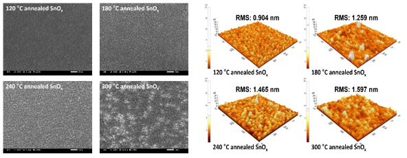 Opp = 4%에서 25nm 증착된 SnOX TFT의 온도별 Scanning electron microscope (SEM), Atomic force microscope (AFM) 분석