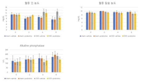 Combiantorial engineering에 의하여 개발된 변이 균주의 혈중 인농도 측정 등 혈청 분석 결과