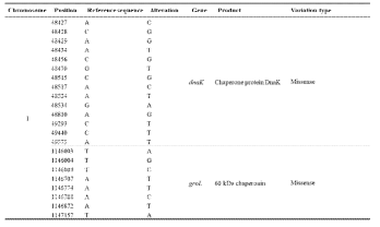 변이균주 내 chaperone 관련 gene variations