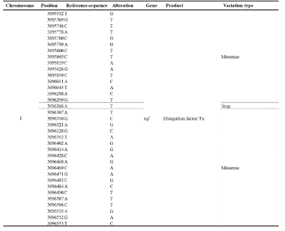 변이균주 내 elongation factor Tu 관련 gene variations
