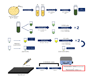Bio-chemical method를 활용한 screening 방법 모식도