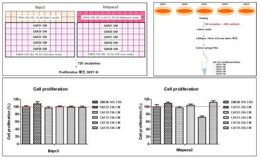 CAF culture media tranfer 실험을 통해 cell proliferation 변화 확인