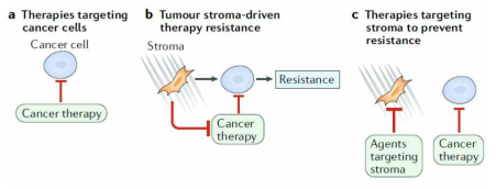 종양미세환경에 의한 항암제 내성 기전 및 종양미세환경 표적 치료제