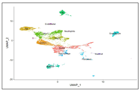 UMAP clustering of scRNA data