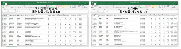 본 연구를 통해 구축된 국가산림자원조사 및 가리왕산 목본식물들의 기능형질 DB