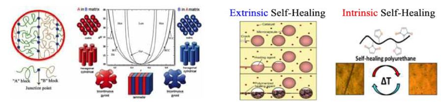 고분자 자가조립 상거동과 자가치유 메카니즘