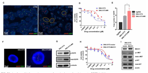 In vitro validation and summary of mechanisms of resistance to EGFR inhibitors