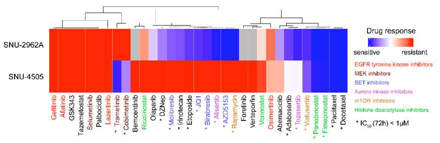 BET inhibitor sensitivity in the SCLC-NEUROD1 subtype Treatment of the SNU-2962A cells with fimepinostat resulted in the time- and concentration-dependent restoration of EGFR and p-EGFR expression