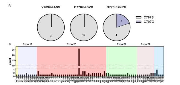 ENU mutagenesis in Ba/F3-EGFR exon20 insertion cell lines