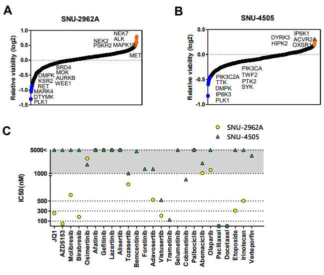 E valuation of factors affecting cell viability. Kinome siRNA screening for kinases in SNU-2962A (A) and SNU-4505 cell lines (B). IC50 values after 72h for targets suggested as subtype-specific vulnerabilities (C)