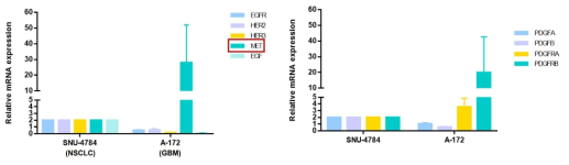 RTK(receptor tyrosine kinase)유전자 mRNA 발현