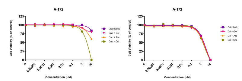 Campatinib과 Crizotinib의 cell viability assay