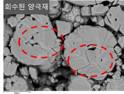 회수된 양극재 절단면 SEM image