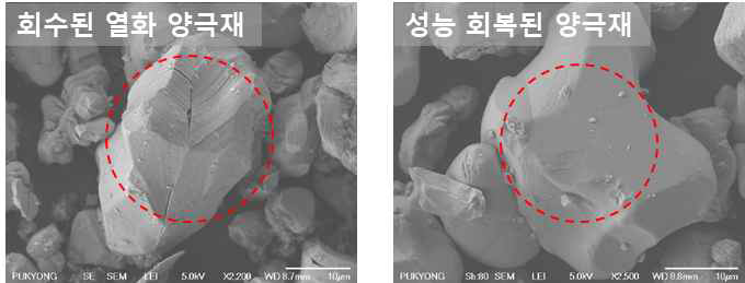 성능 회복 전·후 양극재 SEM image