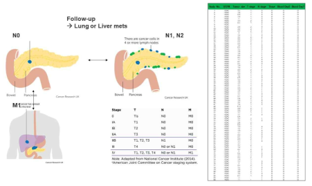 TNM stage에 따른 췌장암 환자 분류 및 임상 정보 분석