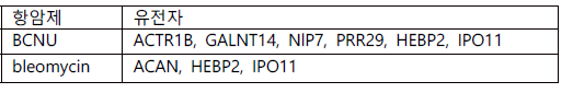 인체 전장 유전체 수준 CRISPR 라이브러리 녹아웃 TNBC세포에서 BCNU, bleomycin 처리 후 생존 세포들에서 발견된 gRNA 표적 유전자