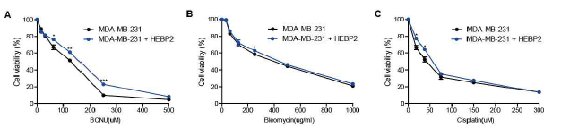 MDA-MB-231 세포에서 외부적 HEBP2 유전자 형질도입이 BCNU, bleomycin 및 cisplatin 처치 후 cell viability 분석