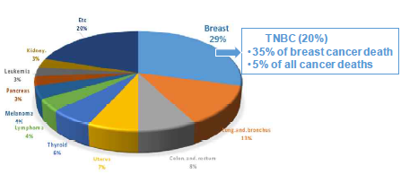 여성암에서 삼중음성유방암(TNBC) 비율